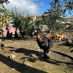 Paraiso Madeira - Villa *