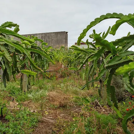 Paraiso Madeira - 加乌拉