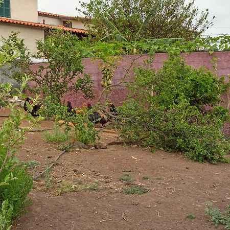 Willa Paraiso Madeira - Gaula