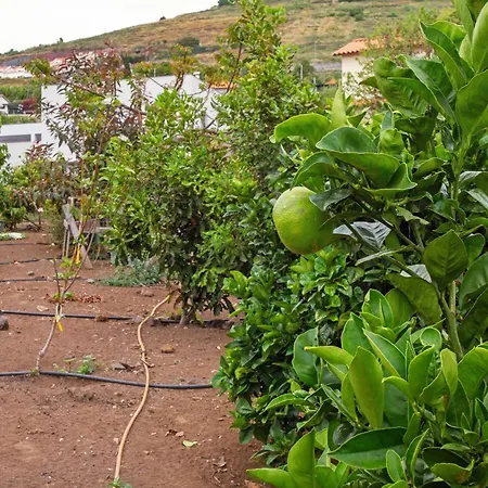 Paraiso Madeira -
