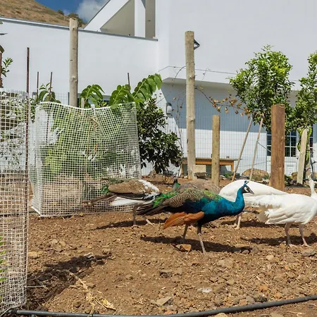 Nocleg ze śniadaniem Paraiso Madeira - Gaula