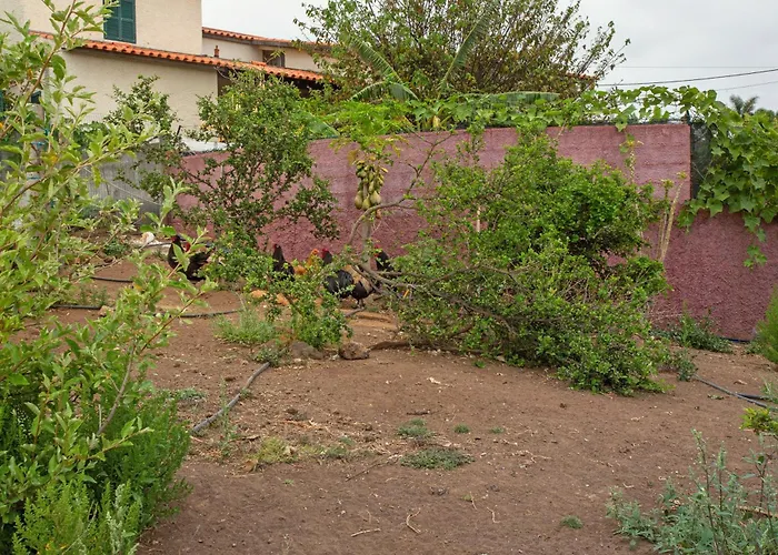 Vila Paraiso Madeira - Gaula