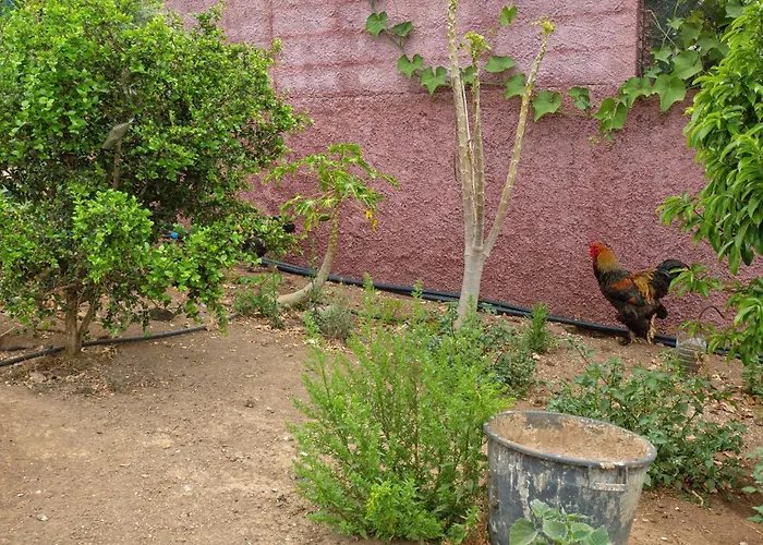 Paraiso Madeira - Vila