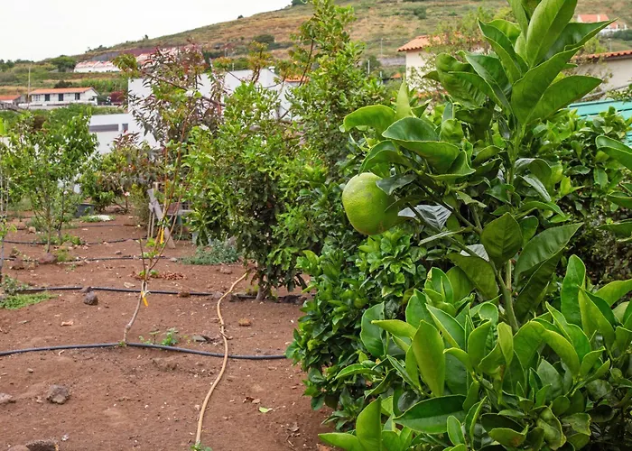 Vila Paraiso Madeira - Gaula